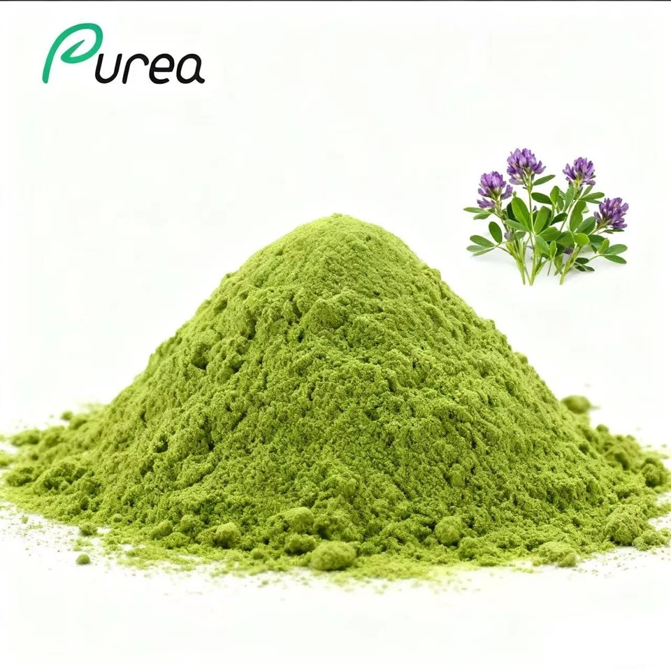 پودر برگ یونجه