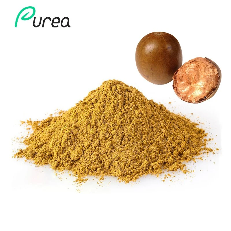 Pure Monk Fruit Extract Powder