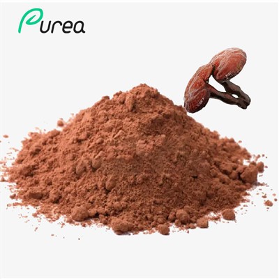بهترین پودر عصاره قارچ Reishi