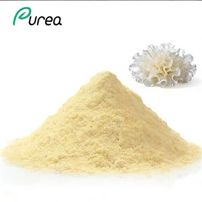 پودر ترملا ارگانیک